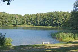 Liegewiese und Badestelle am Großen Plötzsee