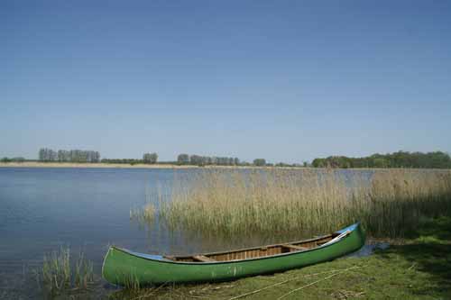 Teichland Linum