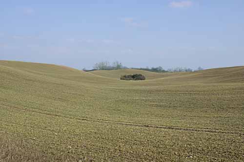 Landschaft in der Uckermark