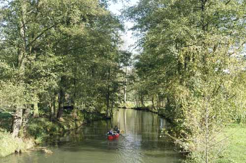 Spreewald