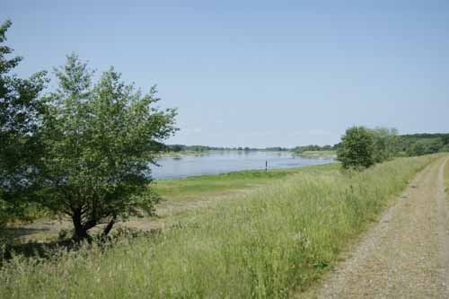  Elbe bei Rühstädt